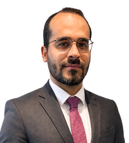 Luiz Felipe Rosa Ramos