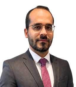 Luiz Felipe Rosa Ramos